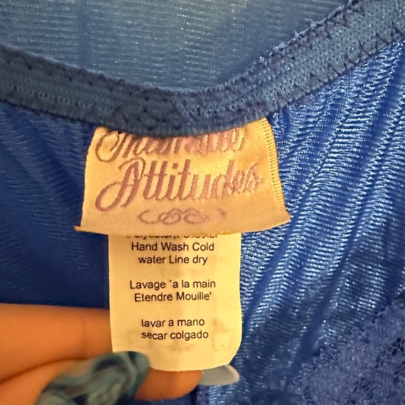 Luxurious Sheer Blue Lace Robe - Picture 2 of 8